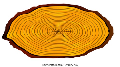 A section of a sawn log as used for a house name over a white background