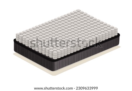 The section shows a mattress and the springs inside. 3D illustration.