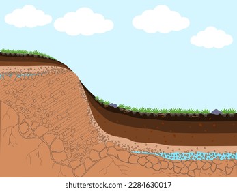 The section of the soil layer covered with grass.