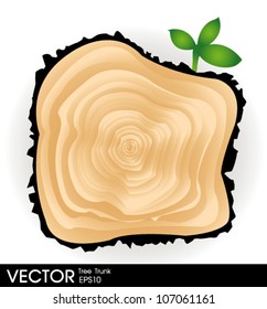 section of tree trunk