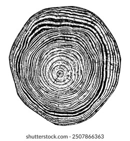 Сross section of wood texture. Tree rings. Cut slice of wooden print isolated on white. Textured surface with rings and cracks. Background made of hardwood from the forest. Vector EPS 10.