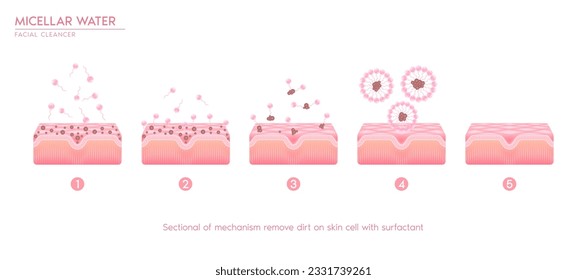 Sektion des Mechanismus entfernen Schmutz auf Hautzellen mit Tensid. Make-up mit Micellar entfernen. Kosmetiklösung Gesichtsreinigung Porenreinigung mit Wassertropfen. Gesichtsreiniger rein gesund. Vektorgrafik.