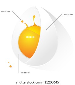 Sectional vector egg on a white background