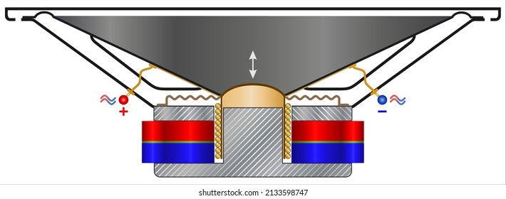 Sectional view of an electrodynamic loudspeaker