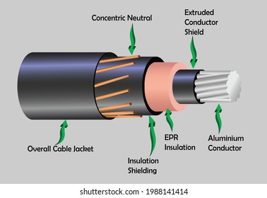 Sections Layers Cable Outside Inside Infographic Stock Vector (Royalty ...