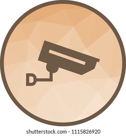 Security Camera Icon