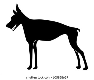 Security Dog Vector, Hand Drawn Doberman Pinscher In Black Silhouette Comic Style With Big Teeth, Snarling Mouth, Pointed Ears, And Skinny Body And Legs. Beware Of Dog Sign.