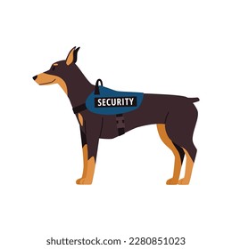 Security service dog in special leash, flat vector illustration isolated on white background. Doberman in service of security forces or police forces.