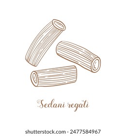 Sedani regati pasta illustration. Vector sketch. Traditional Italian food. Hand-drawn image. Isolated icon