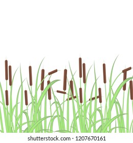 Sedge, reed, cane, bulrush. Color. Texture, background.