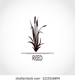  Sedge, reed, cane, bulrush. Set. Black silhouette on white background. Logo, emblem, sign, symbol
