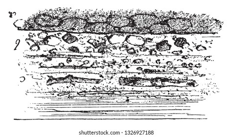 Sedimentation of materials caused by a watercourse, vintage engraved illustration. From Natural Creation and Living Beings.
