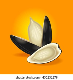 seed