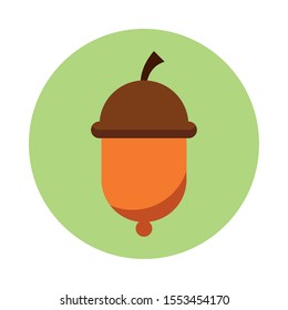 seed acorn autumn nature icon vector illustration design