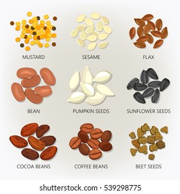 Seed and bean, grain isolated icons. Mustard and sesame, flax and pumpkin kernel , sunflower peel and cocoa, coffee and beet cellulose. Herb and seasoning, farming and agronomy, vegetable and botany