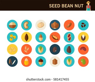 seed been nut concept flat icons.