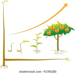 Seed business chart from beginning to successful.