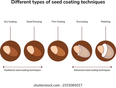 Seed coating | Encrusting Seeds | Modern Seed Technology, agriculture , illustration