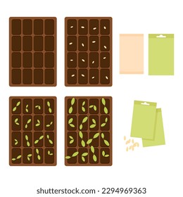 Contenedores de semillas y brotes de plantas