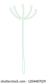 Seed of dandelion vector illustration