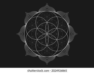 Seed Flower of life lotus icon, yantra mandala sacred geometry, tattoo symbol of harmony and balance. Mystical talisman, white lines vector isolated on black background 