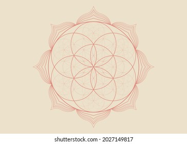 Seed Flower of life lotus icon, yantra mandala sacred geometry, tattoo symbol of harmony and balance. Mystical talisman, henna color lines vector isolated on vintage background 