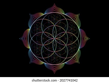 Seed Flower of life lotus icon, yantra mandala sacred geometry, spectrum psychedelic symbol of harmony and balance. Mystical talisman, colorful lines vector isolated on black background 