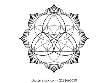 Seed Flower of life lotus icon, yantra mandala sacred geometry, tattoo symbol of harmony and balance. Mystical talisman, black lines vector isolated on white background 