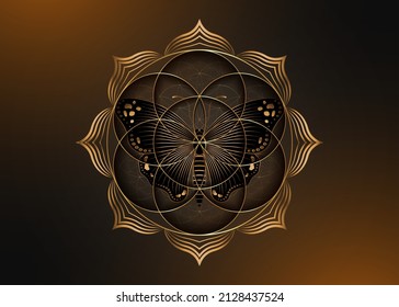 Flor de semilla de la vida icono del loto y mariposa mágica negra, geometría sagrada yantra mandala, símbolo dorado de armonía y equilibrio. Talisman místico, vector de líneas doradas aislado en un fondo oscuro antiguo 