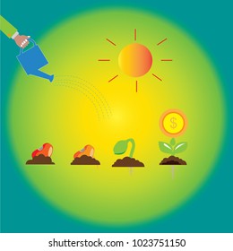 seed germination on soil, evolution concept