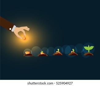 seed germination on soil, evolution concept