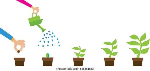 seed germination on soil, evolution concept