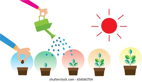 seed germination on soil, evolution concept