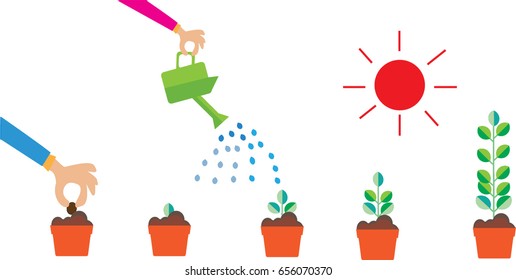 seed germination on soil, evolution concept 