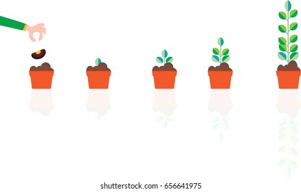 seed germination on soil, evolution concept, Sequence of bean seeds germination vector illustration