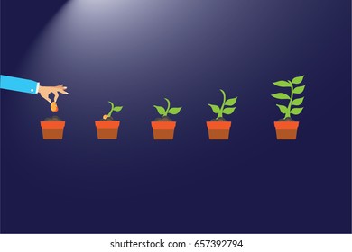 seed germination on soil, evolution concept