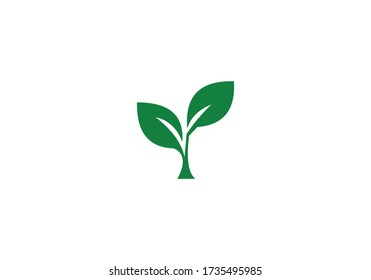 Set Small Shoot Plant Leaf Nature Stock Vector (Royalty Free) 277726337