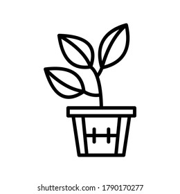 Seed Grow icon or logo isolated sign symbol vector illustration - high quality black style vector icons
