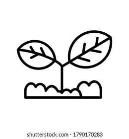 Seed Grow icon or logo isolated sign symbol vector illustration - high quality black style vector icons
