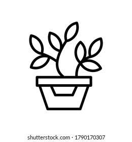 Seed Grow icon or logo isolated sign symbol vector illustration - high quality black style vector icons
