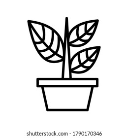 Seed Grow icon or logo isolated sign symbol vector illustration - high quality black style vector icons

