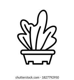 Seed Grow icon or logo isolated sign symbol vector illustration - high quality black style vector icons

