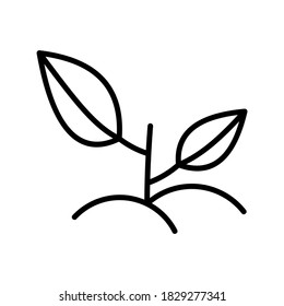Seed Grow icon or logo isolated sign symbol vector illustration - high quality black style vector icons
