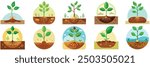 The Seed growing roots germination
