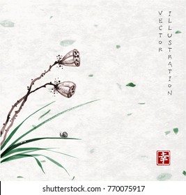Seed heads of a lotus flower leaves of grass with a little snail on vintage paper background. Traditional oriental ink painting sumi-e, u-sin, go-hua. Hieroglyph - happiness.