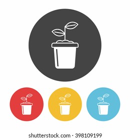 seed icon