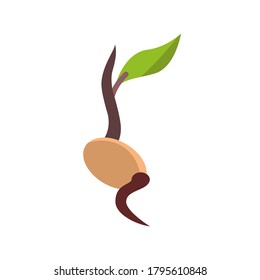 seed icon of color style  vector illustration design