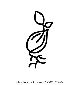 Seed icon or logo isolated sign symbol vector illustration - high quality black style vector icons
