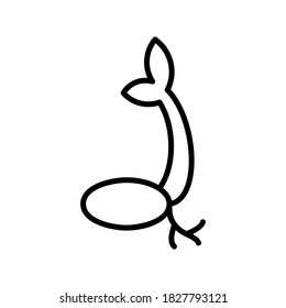Seed icon or logo isolated sign symbol vector illustration - high quality black style vector icons
