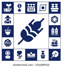 seed icon set. 17 filled seed icons.  Simple modern icons about  - Sprout, Gardener, Acorn, Wheat, Rice, Nut, Tofu, Sunflower, Plant, Farming, Sow, Crop, Plants, Fertilization